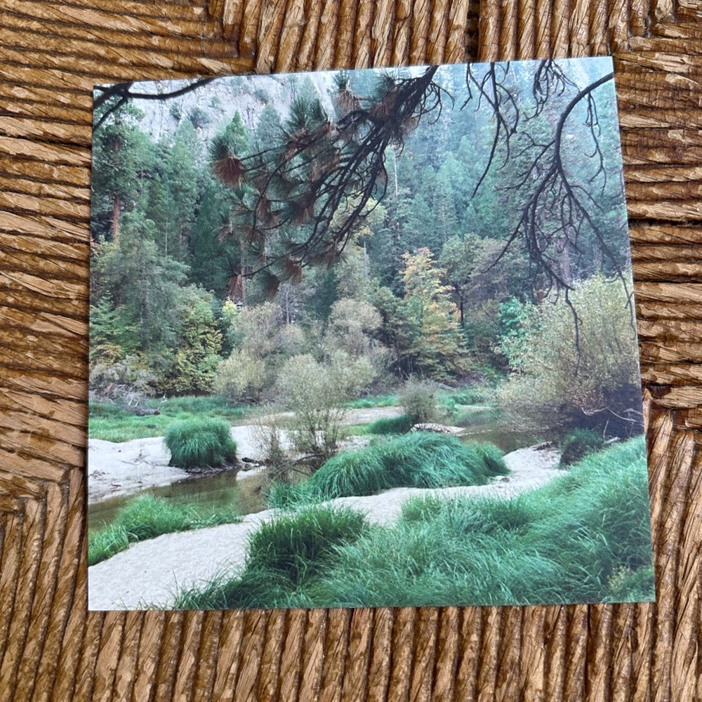 5x5 Art Print - Merced River in Yosemite Valley - 35mm Film